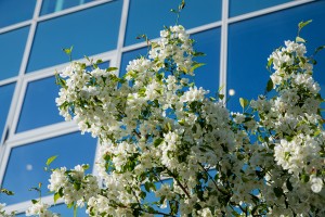 Летний фасад Ельцин Центра