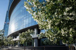 Летний фасад Ельцин Центра