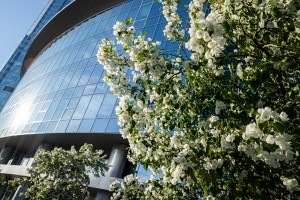 Летний фасад Ельцин Центра