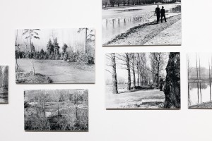 Выставка «Сады Рейшера»