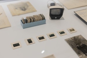 Выставка «Сады Рейшера»