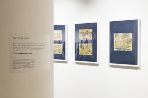 Выставка «Сады Рейшера»