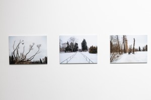 Выставка «Сады Рейшера»