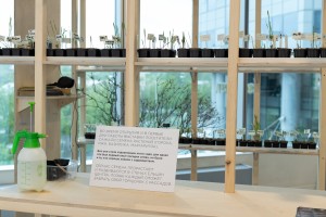 Выставка «Сады Рейшера»