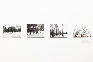 Выставка «Сады Рейшера»