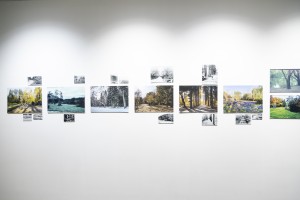 Выставка «Сады Рейшера»