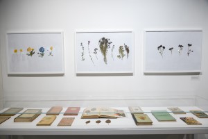 Выставка «Сады Рейшера»