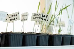 Выставка «Сады Рейшера»