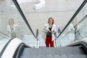 Кот и пёс в Ельцин Центре