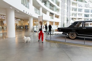 Кот и пёс в Ельцин Центре