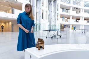 Кот и пёс в Ельцин Центре