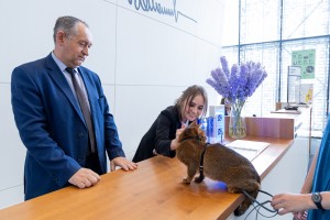 Кот и пёс в Ельцин Центре