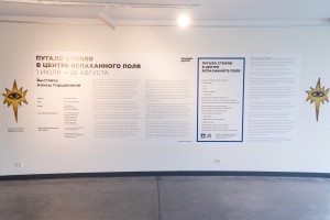 Выставка Алисы Горшениной «Пугало стояло в центре вспаханного поля»