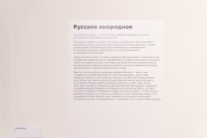 Выставка Алисы Горшениной «Пугало стояло в центре вспаханного поля»