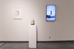 Выставка Алисы Горшениной «Пугало стояло в центре вспаханного поля»