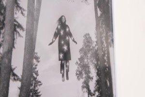 Выставка Алисы Горшениной «Пугало стояло в центре вспаханного поля»