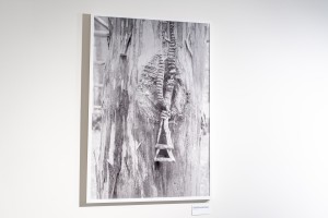 Выставка Фёдора Телкова «Право веры»