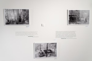 Выставка Фёдора Телкова «Право веры»