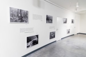 Выставка Фёдора Телкова «Право веры»