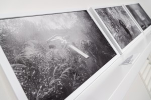 Выставка Фёдора Телкова «Право веры»