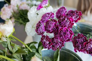 Фестиваль «Цветение»