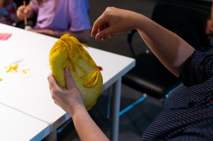 Мастер-класс на русском жестовом языке «Теневая сторона»