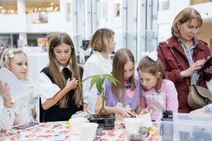 Фестиваль навыков и профессий «Всё по-взрослому»