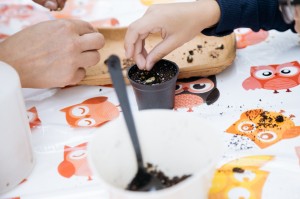 Фестиваль навыков и профессий «Всё по-взрослому»