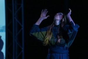 «Нэнси Дрогович»