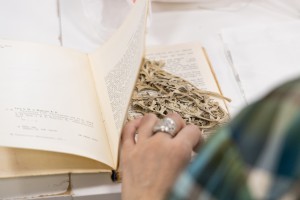 Мастер-класс по сканографии