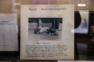 ХХ век глазами детей