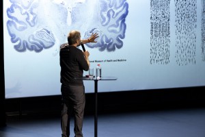 «Мозги, да и только»: лекция нейробиолога, профессора Сколковского института науки и технологий Филиппа Хайтовича