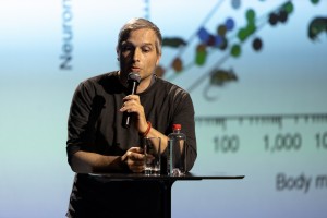 «Мозги, да и только»: лекция нейробиолога, профессора Сколковского института науки и технологий Филиппа Хайтовича