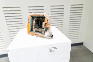 Открытие выставки «Сечение. По обе стороны Уральских гор»