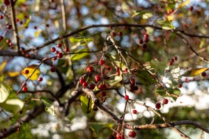 Осенний фасад Ельцин Центра