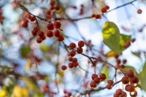 Осенний фасад Ельцин Центра