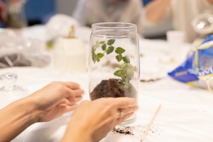 «Искусство быть свободным»: право на жизнь