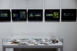 Выставка «Семейная библиотека Вавилона»