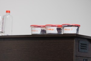 Григорий Куксин. Лесные и торфяные пожары: мифы и реальность