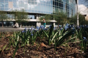 Фасад Ельцин Центра. Весна