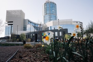 Фасад Ельцин Центра. Весна