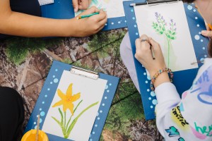 Ботанический скетчинг и экскурсия в Сад трав