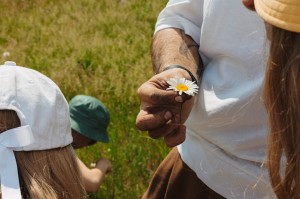 Сад трав. Илья Гомыранов. Многоногие соседи. Путешествие в микромир