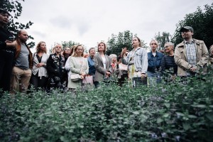 Мария Хоптинец. Что цветет в Саду трав