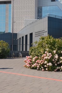 Фасад Ельцин Центра. Сентябрь 2024