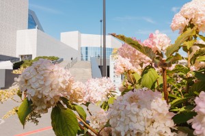 Фасад Ельцин Центра. Сентябрь 2024