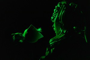 Спектакль «Про китёнка и котёнка»