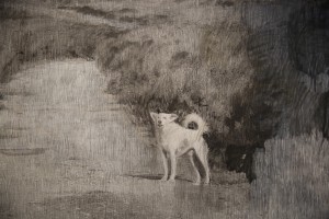 Открытие выставки «Равнодушие средней полосы»