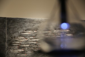 Открытие выставки «Равнодушие средней полосы»