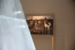 Открытие выставки «Равнодушие средней полосы»